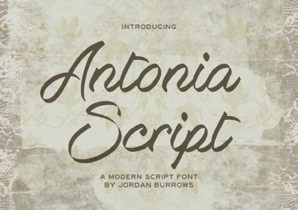 Antonia Script: Elegant Typography for Creative Projects